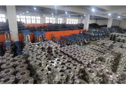 Where are stainless steel valves mainly used